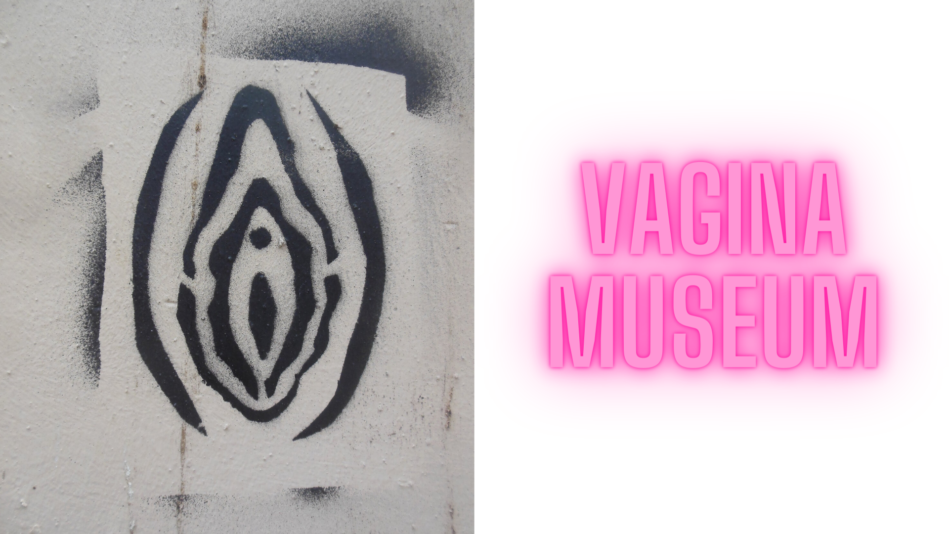 Vagina Museum